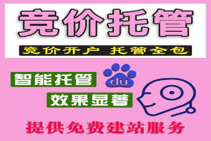 SEM代运营服务公司案例：精准定位客户群体